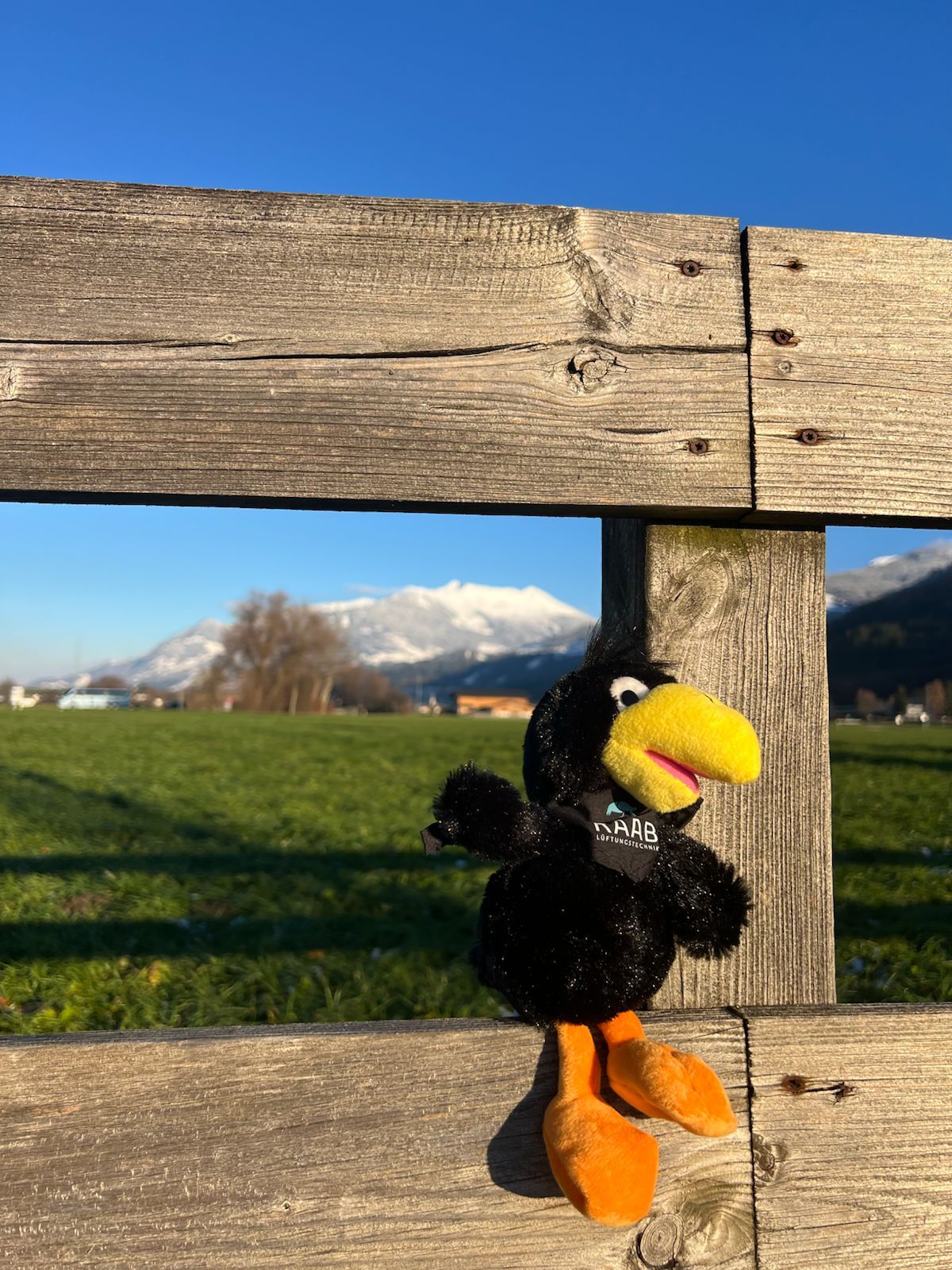 Mehr über den Artikel erfahren Außendienst mit Alpenpanorama – RAAB on Tour.